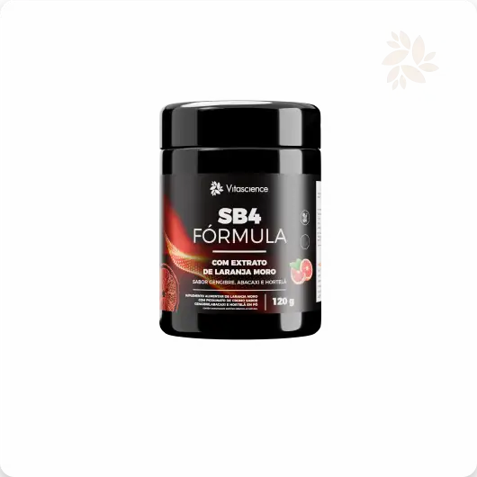 Fórmula SB4