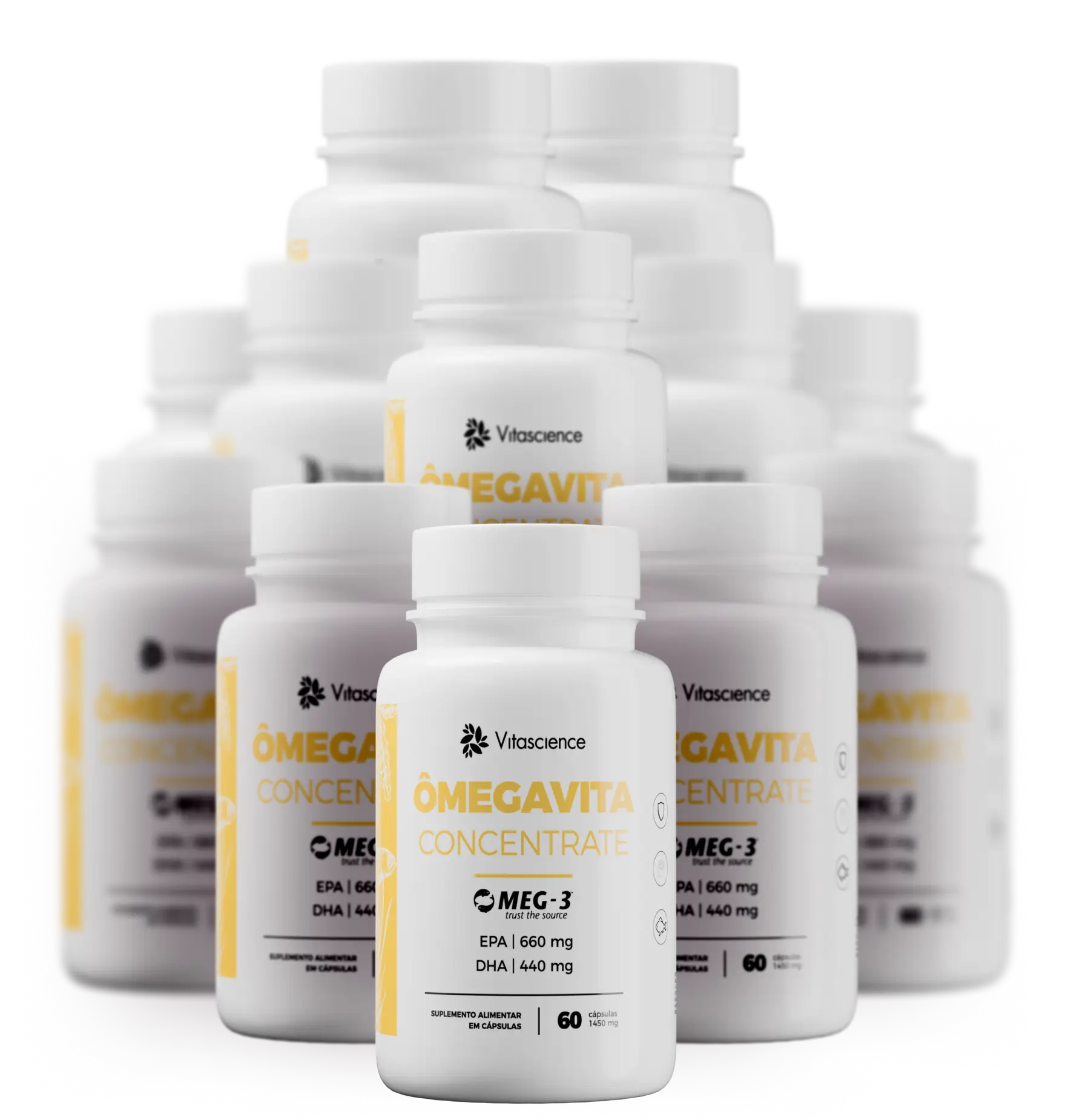 12 Potes Fórmula ÔmegaVita Concentrate