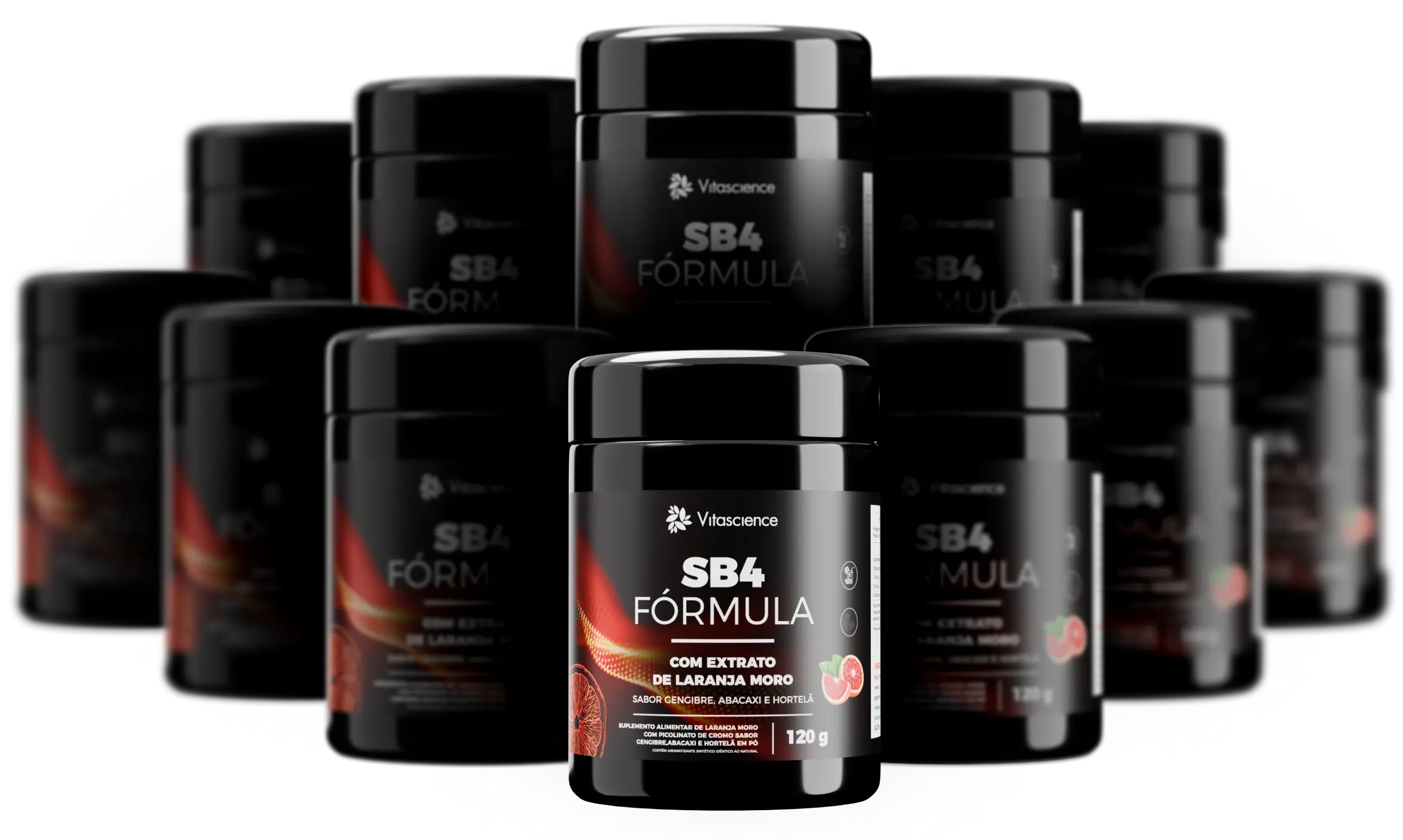 12 Potes Fórmula SB4