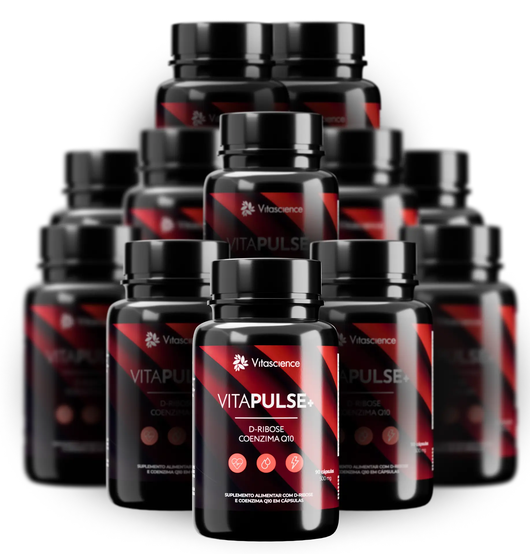 12 Potes Fórmula Vitapulse