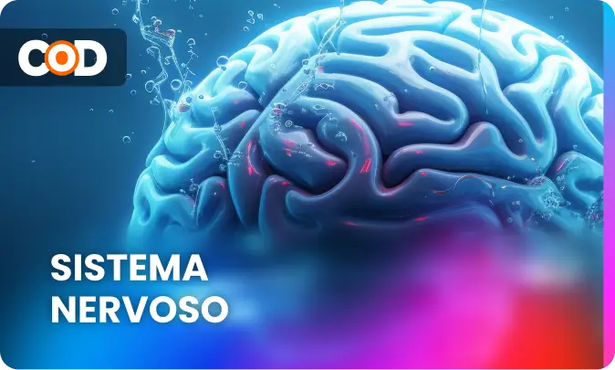 _sistema_nervoso